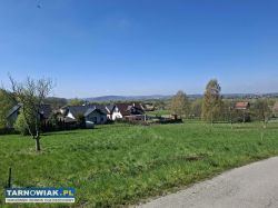 sprzedam piękną działkę w Błoniu od właściciela - Obrazek 1