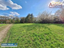 Działka budowlana z WZ w "Krzyżu" - Obrazek 3