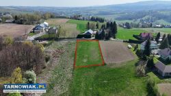 17,11 ara Ryglice - Obrazek 2