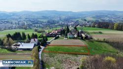 17,11 ara Ryglice - Obrazek 1