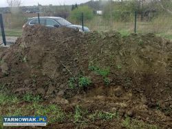 Oddam ziemię czarna bez kamieni - Obrazek 2