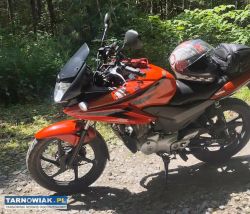 Honda cbf 125 2009 - Obrazek 1