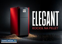 ELEGANT 27 kW: kompaktowy piec na pellet - Obrazek 1