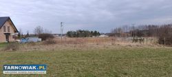 Działka budowlana Tarnowie - Krzyż - Obrazek 1