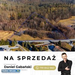 Duża działka budowlana w Dąbrówce Szczepanowskiej - Obrazek 1