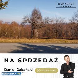 Duża działka budowlana w Dąbrówce Szczepanowskiej - Obrazek 4