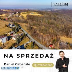 Duża działka budowlana w Dąbrówce Szczepanowskiej - Obrazek 3