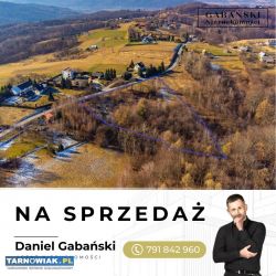 Duża działka budowlana w Dąbrówce Szczepanowskiej - Obrazek 2