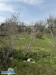 ogródek działkowy w Tarnowie - Obrazek 3