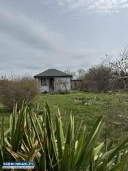 ogródek działkowy w Tarnowie - Obrazek 4