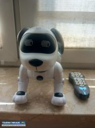 Piesek interaktywny - Obrazek 1