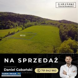 Działka budowlana w otoczeniu lasu - słona - Obrazek 1