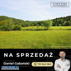 Działka budowlana w otoczeniu lasu - słona - Obrazek 3