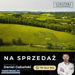 Działka budowlana w otoczeniu lasu - słona - Obrazek 2