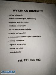 Wycinka drzew!!! - Obrazek 1
