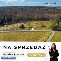 Domek letniskowy w otulinie lasu - Obrazek 2