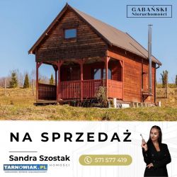 Domek letniskowy w otulinie lasu - Obrazek 1