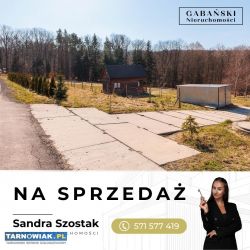 Domek letniskowy w otulinie lasu - Obrazek 4