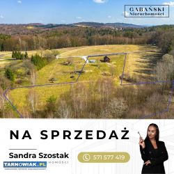 Domek letniskowy w otulinie lasu - Obrazek 3