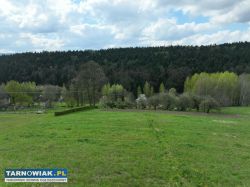 Atrakcyjna działka budowlana Tuchów, ul. Leśna - Obrazek 2