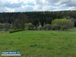 Atrakcyjna działka budowlana Tuchów, ul. Leśna - Obrazek 4