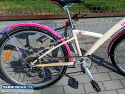 Rower dla dziewczyny 24cale stan idealny - Obrazek 3