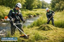 Oferuję koszenie trawników, łąk, nieużytków - Obrazek 1