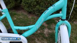 Rower 20 Kands Diana rama 12 cali bdb stan polski - Obrazek 2