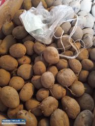Sprzedam ziemniaki - Obrazek 2