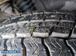 Honda CRV 2.0 benzyna automat nowe opony - Obrazek 4