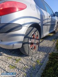 Peugeot 206 1.9d - Obrazek 4