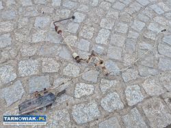 Gaz nożny + ręczny Ursus C-330 - Obrazek 1