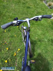 Rower miejski Peugeot damka - Obrazek 2