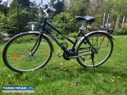 Rower miejski Peugeot damka - Obrazek 3