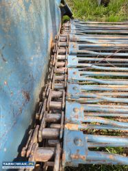 Kopaczka elewatorowa do ziemniaków - Obrazek 4