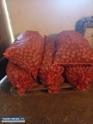 Ziemniaki - Obrazek 1