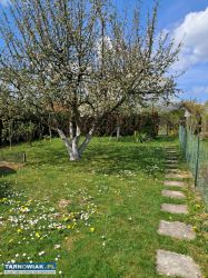 Działka Rod nad wontokiem 4ary. - Obrazek 1