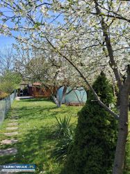 Działka Rod nad wontokiem 4ary. - Obrazek 4