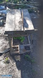 Piła stołowa krajzega - Obrazek 1