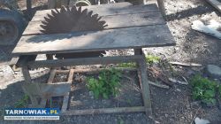 Piła stołowa krajzega - Obrazek 2