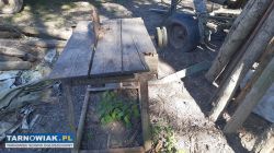 Piła stołowa krajzega - Obrazek 3