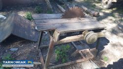 Piła stołowa krajzega - Obrazek 4