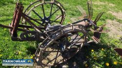 Kopaczka do ziemniaków jednorzędowa - Obrazek 2