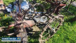 Kopaczka do ziemniaków jednorzędowa - Obrazek 3