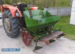 Sadzarka do ziemniaków Oryginał fabryczna solidna - Obrazek 4