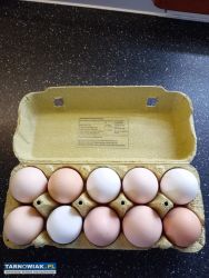 Jaja wiejskie - Obrazek 1