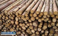 Stemple budowlane drewniane używane i nowe - Obrazek 1