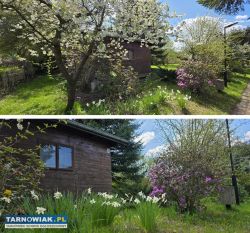 Działka rekreacyjna rod ,,góra marcina" - Obrazek 1