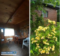 Działka rekreacyjna rod ,,góra marcina" - Obrazek 4