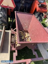 Sadzarka do ziemniaków - Obrazek 3